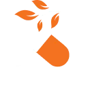 Intro Icon